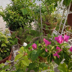 IMG_20190713_173540.jpg